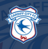 Cardiff City Stadium