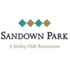 Sandown Park