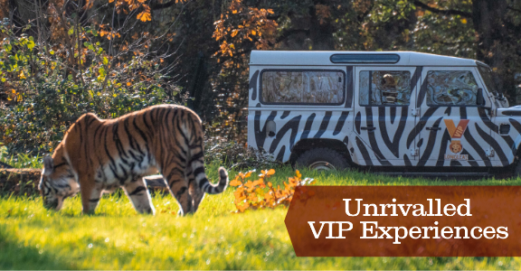 Unrivalled VIP experiences