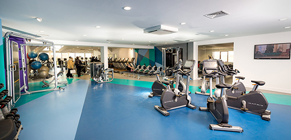 Fitness suite with cardio machines, exercise bikes and free weights