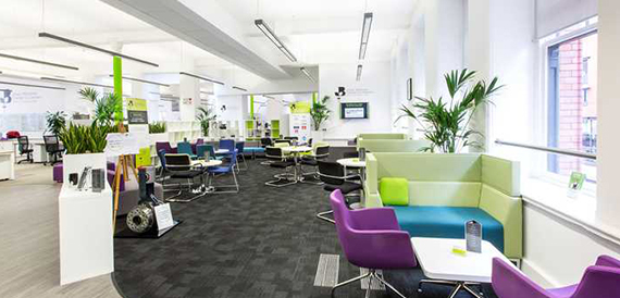 Breakout lounge with colourful sofas, armchairs and potted plants