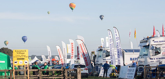 Hot air balloons in the sky above rows of trade stand flags.