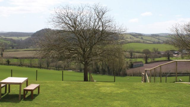 V4-fields