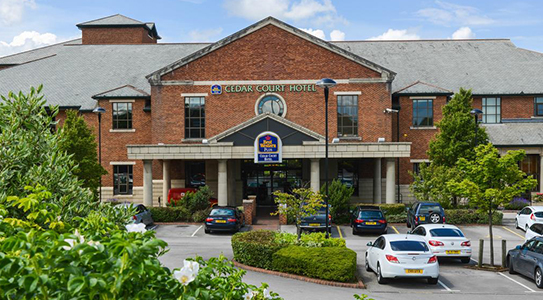 cedarleeds